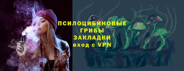 прущие грибы Зеленокумск