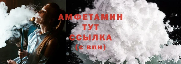 прущие грибы Зеленокумск