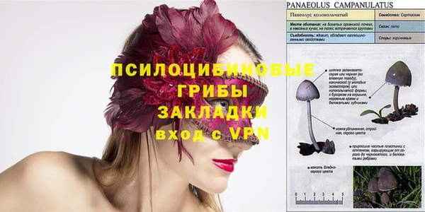 не бодяженный Зеленодольск