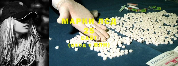 прущие грибы Зеленокумск