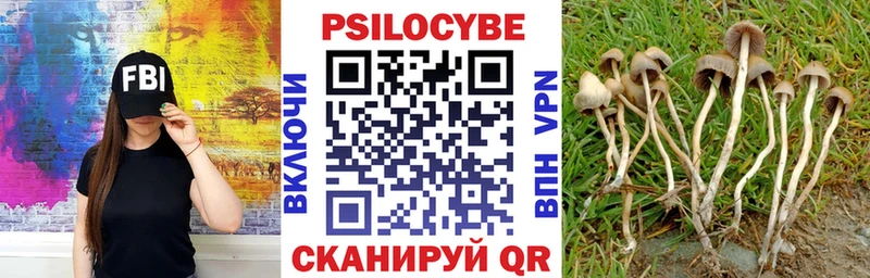 Купить  Мегион  Галлюциногенные грибы мухоморы 